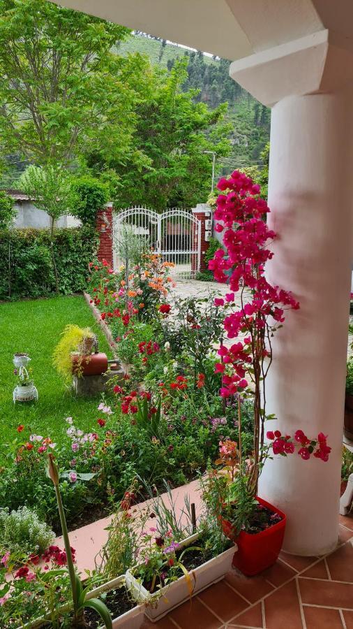 Veranda B&B Berat Extérieur photo