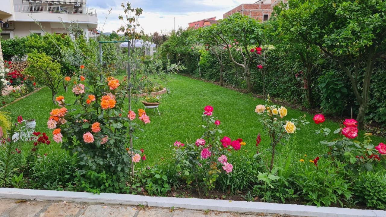 Veranda B&B Berat Extérieur photo